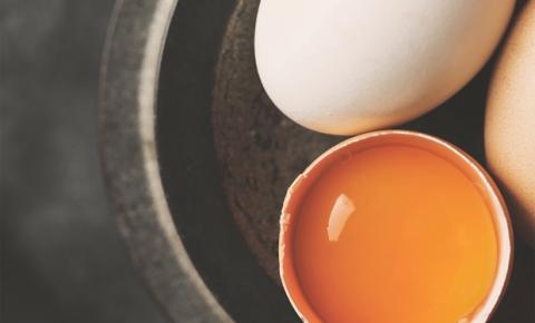 Com mais de 50 nutrientes, ovo tem benefícios valiosos para a saúde