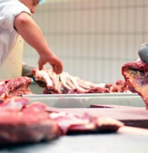 Associação diz que exportações de carne bovina caíram 43% com veto da China